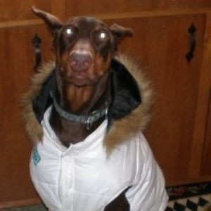 Meet your Posher, Edwin